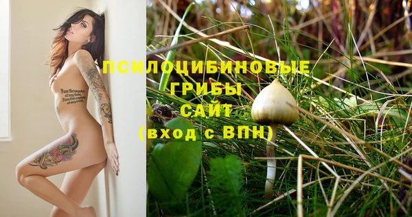 экстази Новодвинск