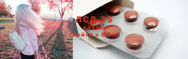 герыч Новокубанск