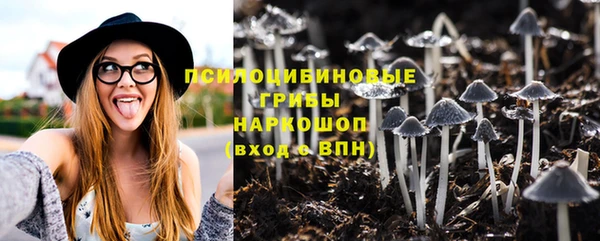герыч Новокубанск