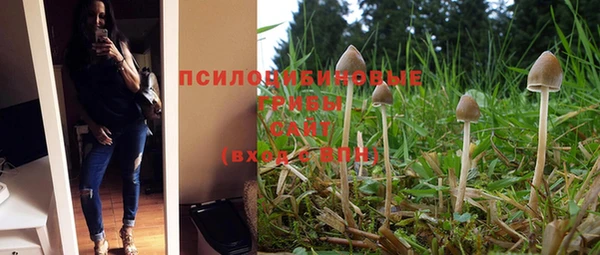 герыч Новокубанск